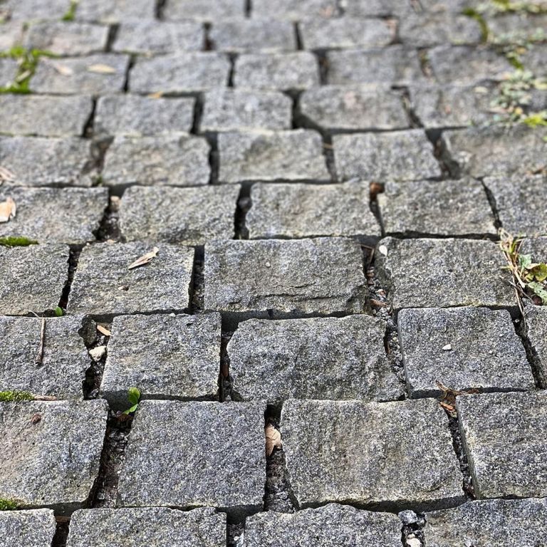 Application image for Gabbro - Dark Magma - Cobblestones. The image shows this product being used in a patio pavers application. The dominant color shown is gray. The color mix creates a warm feeling.