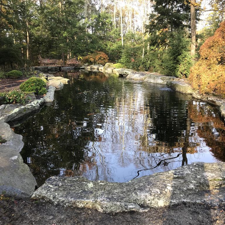 Feature image for New England Fieldstone Boulders & Ledgestone - Pool/Pond Coping. The image shows this product being used in a pond border coping application. The surface finish shown is weathered. The dominant color shown is gray; with green, orange/rust, purple, white and tan secondaries. Exhibits 