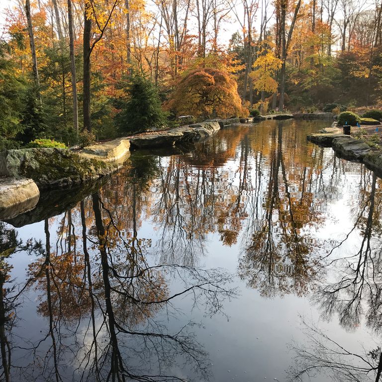 Application image for Fieldstone - New England Boulders - Pool/Pond Coping. The image shows this product being used in a pond border coping application. The surface finish shown is weathered. The dominant color shown is gray.