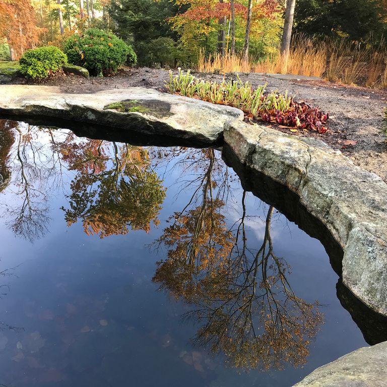 New England Fieldstone Boulders & Ledgestone - Pool/Pond Coping