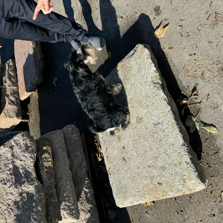 Application image for Granite - Reclaimed Berlin Sidewalk Stones. The surface finish shown is . The dominant color shown is gray. The color mix creates a warm feeling.