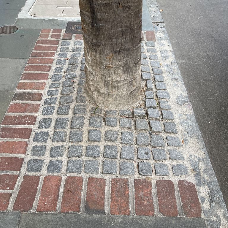 Application image for Gray Granite Cobblestone - Squares. The image shows this product being used in a path pavers application. The dominant color shown is gray; with blue and green secondaries. The color mix creates a cool feeling. Speckled color pattern. Contains some mica and mineral inclusions.